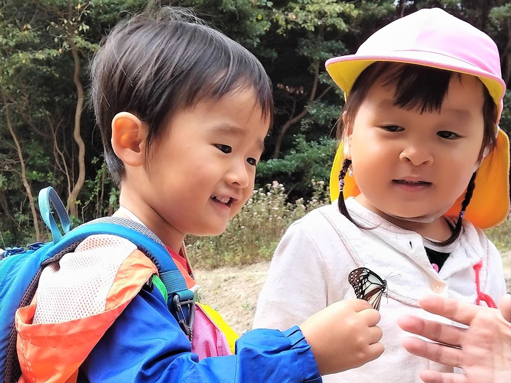 姫島に飛来したアサギマダラを観察する志緒さんの息子