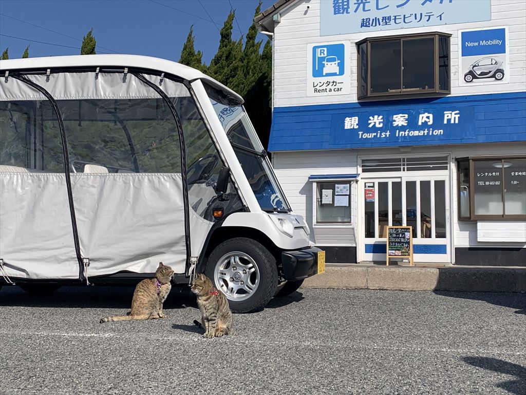 姫島エコツーリズム_猫とエコカー_04