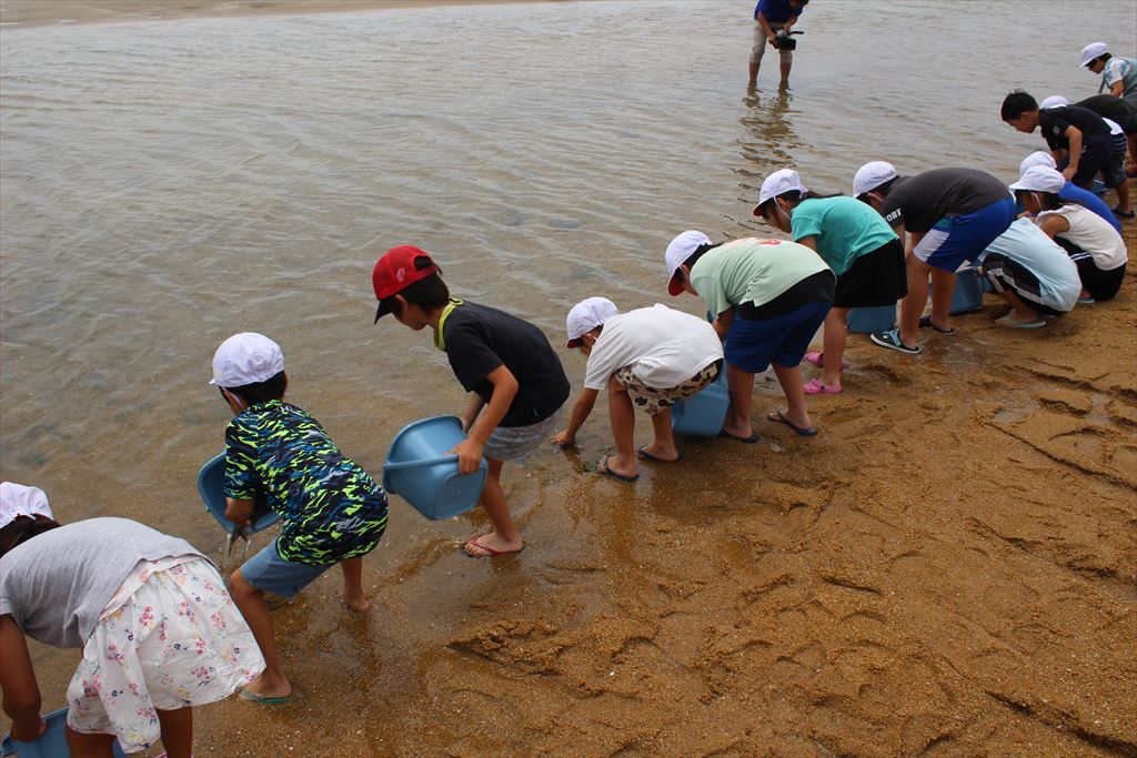 稚エビを放流する児童達