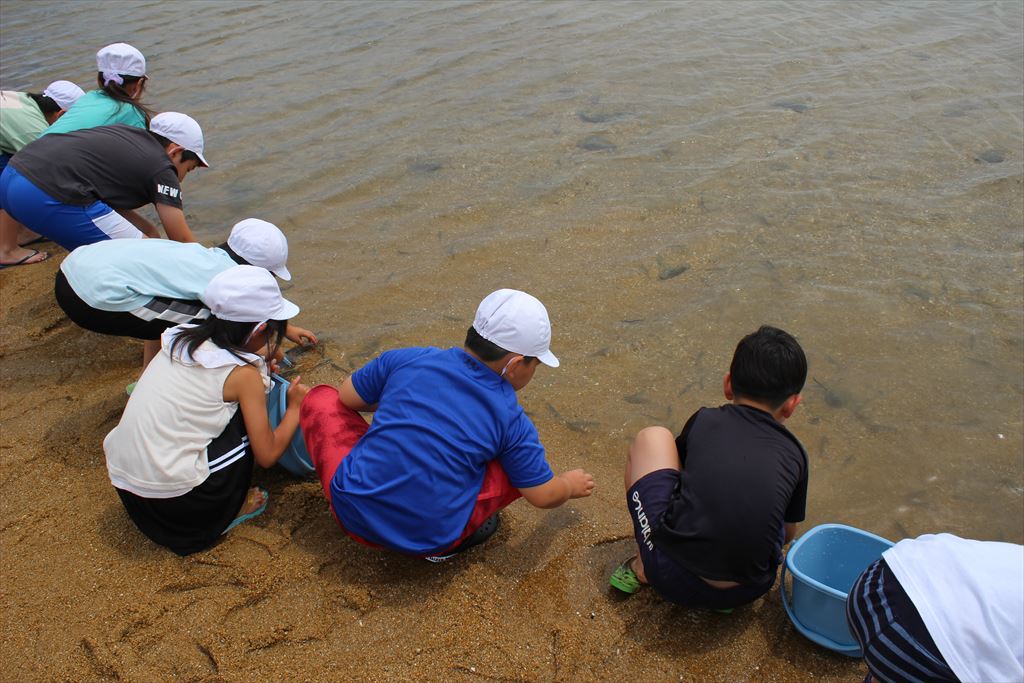 放流した稚エビを見送る児童達